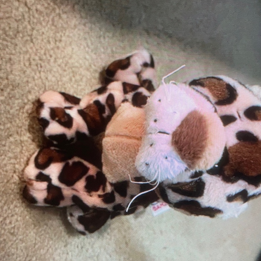 Ganz webkinz spotted leopard